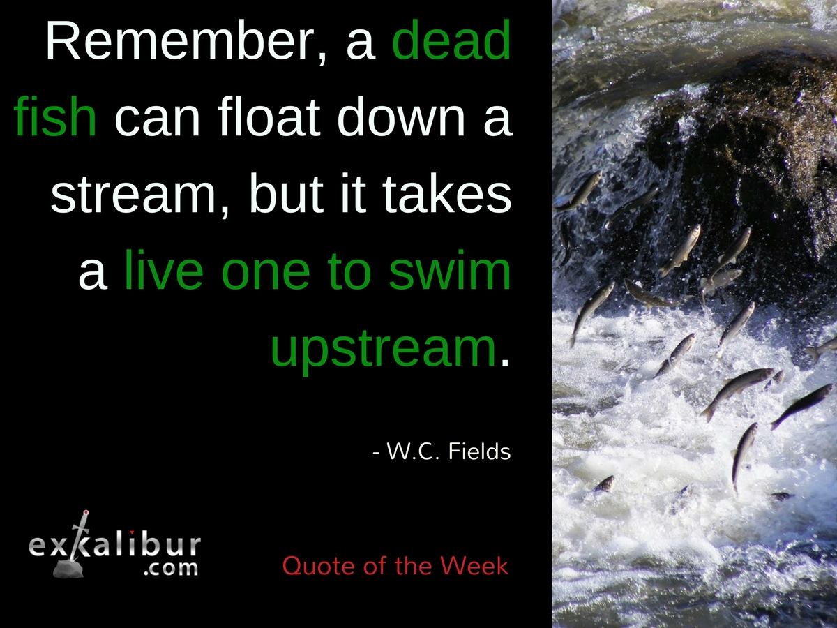 monday-quote-of-the-week-swimming-against-the-current-exkalibur